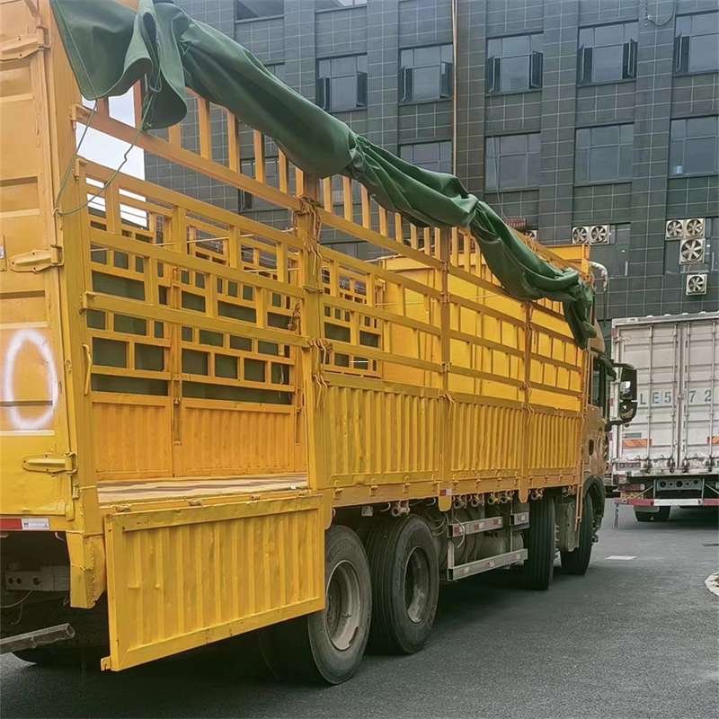 柳南区兰州市物流运输：多元服务与高效线路探秘